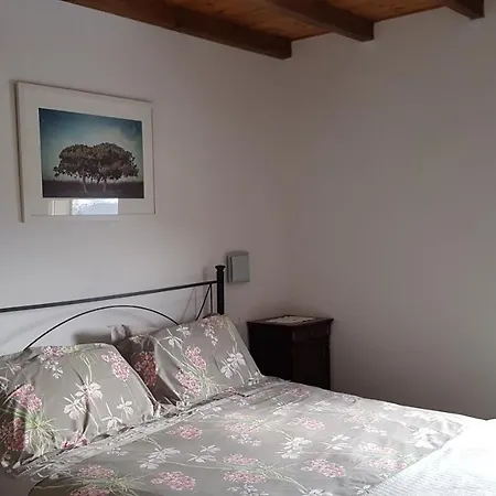 Bed & Breakfast Cherry House